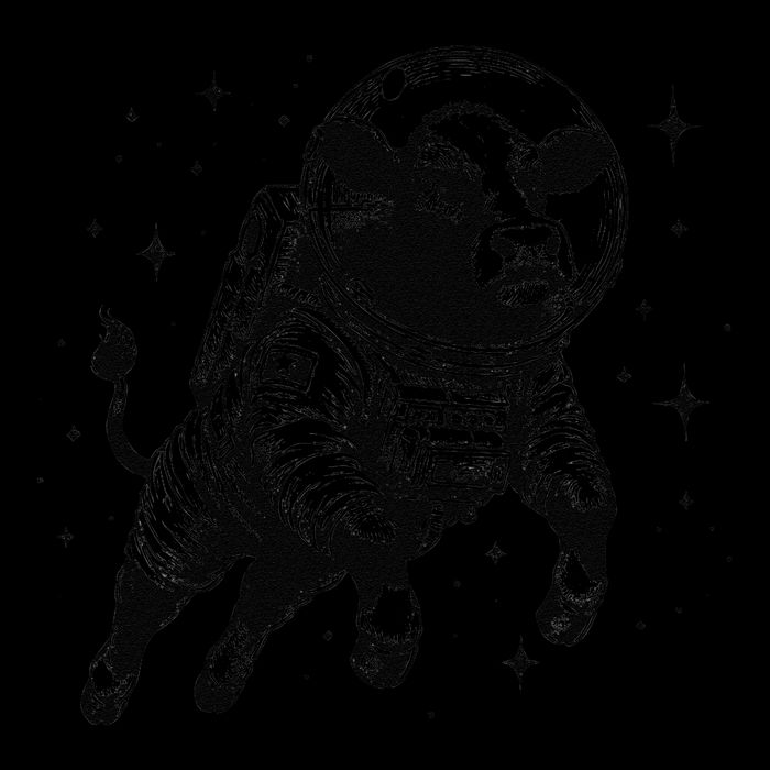 Cow Breeder Space Astronaut Red Angus Cattle Wool Snapback Cap