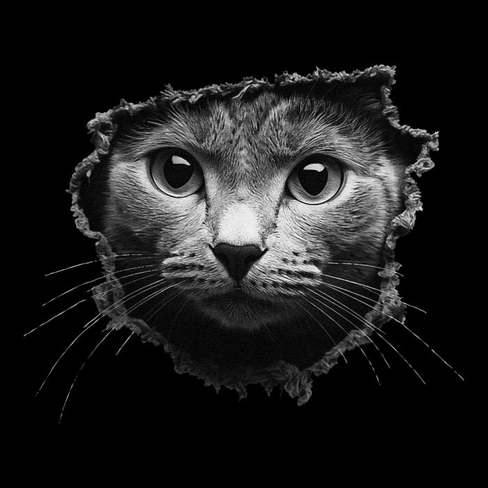 Cat Breed Series Gray Scale Cat Busting Out Thru Fabric. Kids T-Shirt
