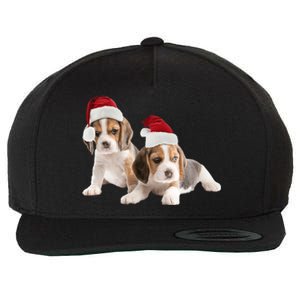 Cute Beagle Santa Hat Image Christmas Dog Dad Beagle Mom Gift Wool Snapback Cap