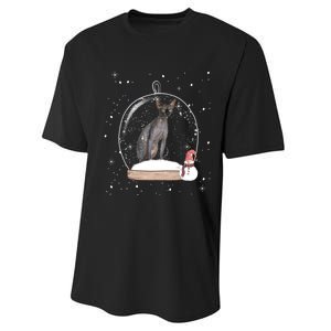 Christmas Black Sphynx Cat Snow Globe Gift Performance Sprint T-Shirt