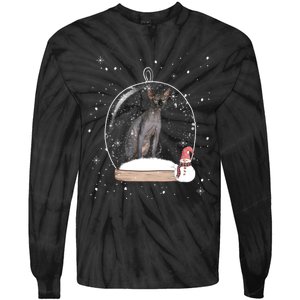 Christmas Black Sphynx Cat Snow Globe Gift Tie-Dye Long Sleeve Shirt