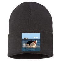 Cat Biting Shark Humorous Playful Funny Cat And Shark Sustainable Knit Beanie