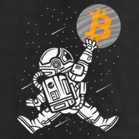 Cryptocurrency Bitcoin Space Moon Funny Cool Comfort Performance Bucket Hat