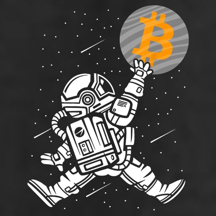 Cryptocurrency Bitcoin Space Moon Funny Cool Comfort Performance Bucket Hat