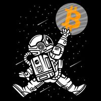 Cryptocurrency Bitcoin Space Moon Funny Wool Snapback Cap