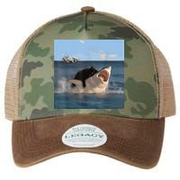 Cat Biting Shark Humorous Playful Funny Cat And Shark Legacy Tie Dye Trucker Hat