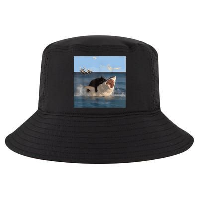 Cat Biting Shark Humorous Playful Funny Cat And Shark Cool Comfort Performance Bucket Hat