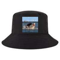 Cat Biting Shark Humorous Playful Funny Cat And Shark Cool Comfort Performance Bucket Hat