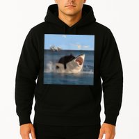 Cat Biting Shark Humorous Playful Funny Cat And Shark Hoodie