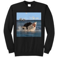 Cat Biting Shark Humorous Playful Funny Cat And Shark Sweatshirt