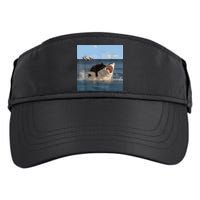 Cat Biting Shark Humorous Playful Funny Cat And Shark Adult Drive Performance Visor