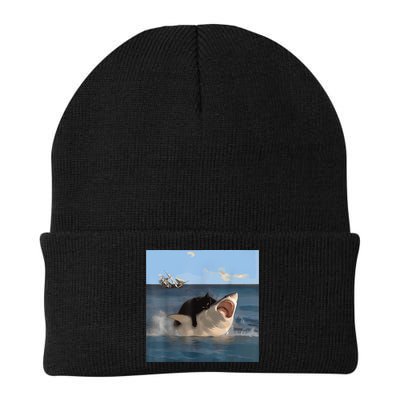 Cat Biting Shark Humorous Playful Funny Cat And Shark Beanie