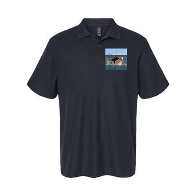 Cat Biting Shark Humorous Playful Funny Cat And Shark Polo
