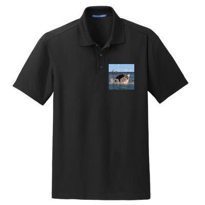 Cat Biting Shark Humorous Playful Funny Cat And Shark Dry Zone Grid Polo