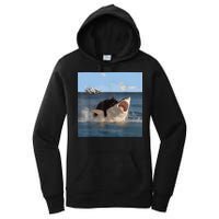 Cat Biting Shark Humorous Playful Funny Cat And Shark Women's Pullover Hoodie