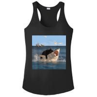 Cat Biting Shark Humorous Playful Funny Cat And Shark Ladies PosiCharge Competitor Racerback Tank