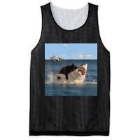 Cat Biting Shark Humorous Playful Funny Cat And Shark Mesh Reversible Basketball Jersey Tank
