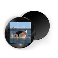 Cat Biting Shark Humorous Playful Funny Cat And Shark Magnet