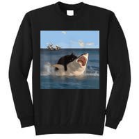 Cat Biting Shark Humorous Playful Funny Cat And Shark Tall Sweatshirt