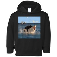 Cat Biting Shark Humorous Playful Funny Cat And Shark Toddler Hoodie