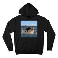 Cat Biting Shark Humorous Playful Funny Cat And Shark Tall Hoodie