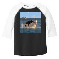 Cat Biting Shark Humorous Playful Funny Cat And Shark Toddler Fine Jersey T-Shirt