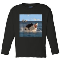 Cat Biting Shark Humorous Playful Funny Cat And Shark Toddler Long Sleeve Shirt