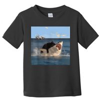 Cat Biting Shark Humorous Playful Funny Cat And Shark Toddler T-Shirt