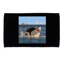 Cat Biting Shark Humorous Playful Funny Cat And Shark Microfiber Hand Towel
