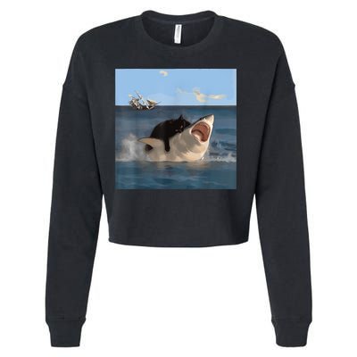 Cat Biting Shark Humorous Playful Funny Cat And Shark Cropped Pullover Crew