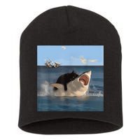 Cat Biting Shark Humorous Playful Funny Cat And Shark Short Acrylic Beanie