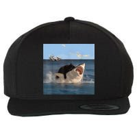 Cat Biting Shark Humorous Playful Funny Cat And Shark Wool Snapback Cap