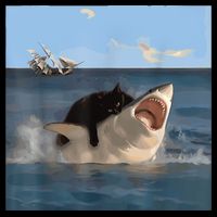 Cat Biting Shark Humorous Playful Funny Cat And Shark Wool Snapback Cap