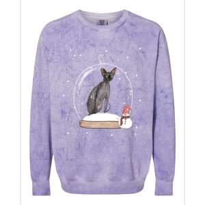 Christmas Black Sphynx Cat Snow Globe Funny Gift Xmas Colorblast Crewneck Sweatshirt