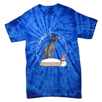 Christmas Black Sphynx Cat Snow Globe Funny Gift Xmas Tie-Dye T-Shirt