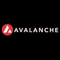Cryptoartfolio Black Small Avalanche AVAX Crypto  16 in Basic Backpack
