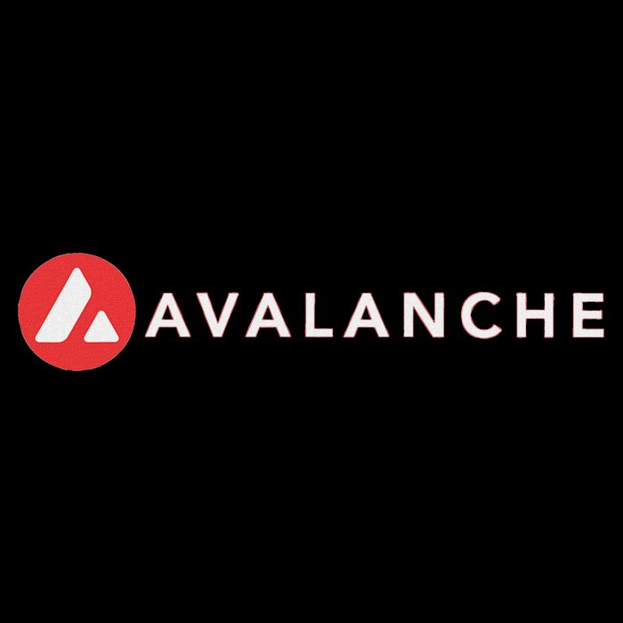 Cryptoartfolio Black Small Avalanche AVAX Crypto  16 in Basic Backpack