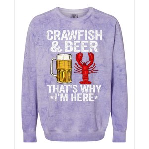 Crawfish & Beer Thats Why Im Here Crayfish Daddy Crawfish Colorblast Crewneck Sweatshirt