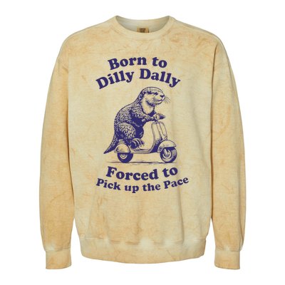 Cabybara Born To Dilly Dally Forced To Pick Up The Pace Colorblast Crewneck Sweatshirt