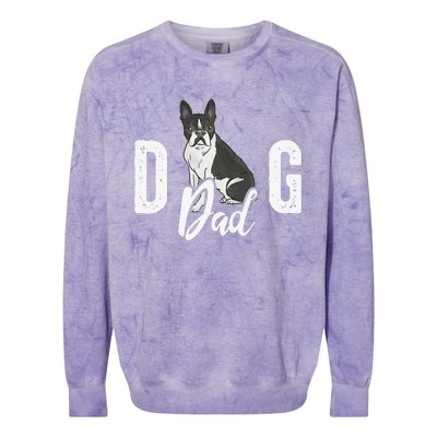 Cute Boston Terrier Pet Owner Vintage Dog Dad Fathers Day Colorblast Crewneck Sweatshirt