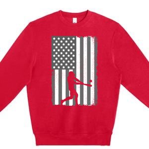 Cool Baseball Usa Player Us American Flag Meaningful Gift Premium Crewneck Sweatshirt