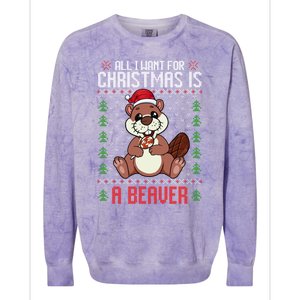 Christmas Beaver Ugly Xmas Sweater Christmas Beavers Lover Colorblast Crewneck Sweatshirt