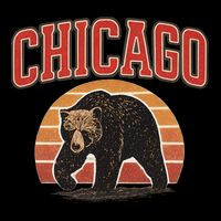 Chicago Bear Vintage Visor