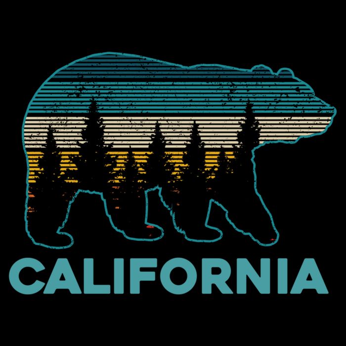 California Bear Vintage Retro Nature Hiking Souvenir Gift Womens T-Shirt