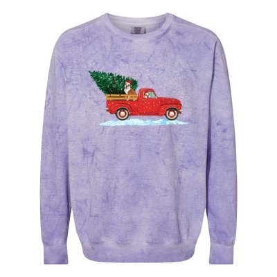 Cute Bulldog With Vintage Red Pickup Truck Christmas Tree Cool Gift Colorblast Crewneck Sweatshirt