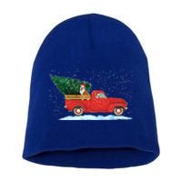 Cute Bulldog With Vintage Red Pickup Truck Christmas Tree Cool Gift Short Acrylic Beanie