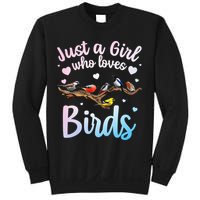 Cool Bird Watcher Art For Women Birding Nerd Birder Sweatshirt