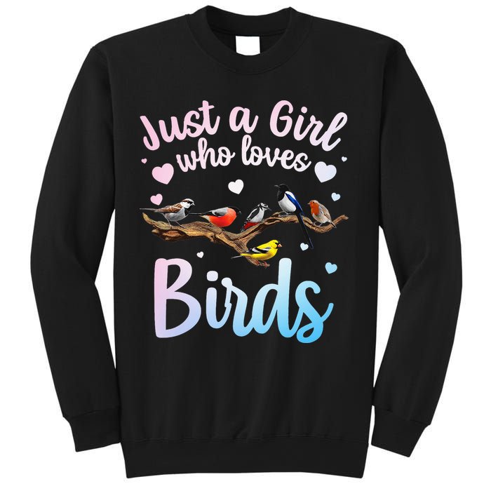 Cool Bird Watcher Art For Women Birding Nerd Birder Sweatshirt