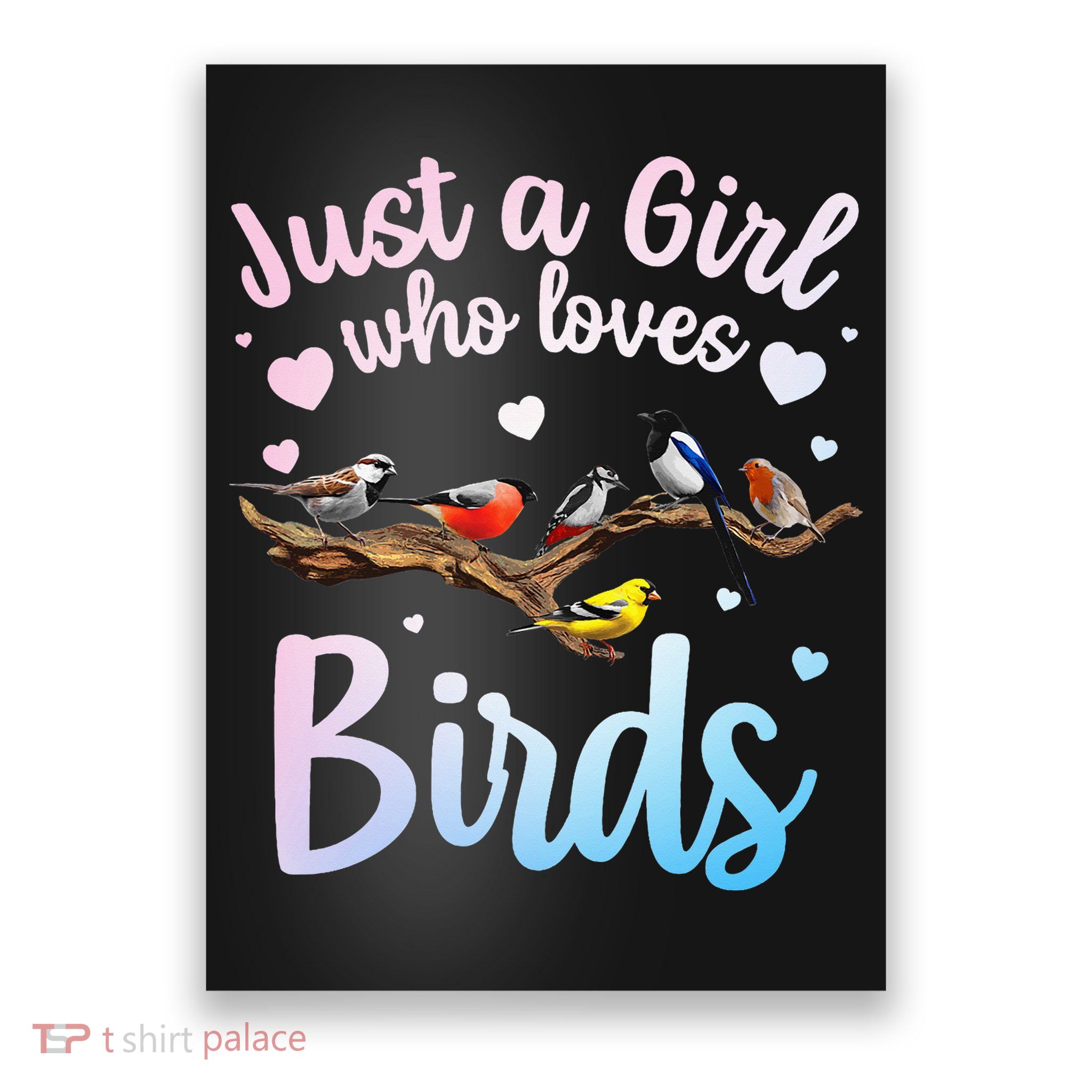 Cool Bird Watcher Art For Women Birding Nerd Birder Poster