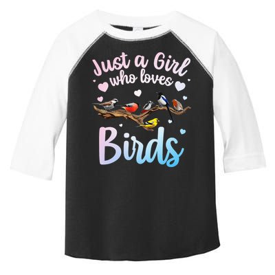 Cool Bird Watcher Art For Women Birding Nerd Birder Toddler Fine Jersey T-Shirt